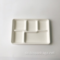 Einwegbagasse 5 Fachplatten